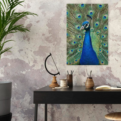 The Peacock Contemporary Bird Wall Art