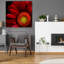 "Red Gerbera On Black 02" par Tom Quartermaine-1008111174