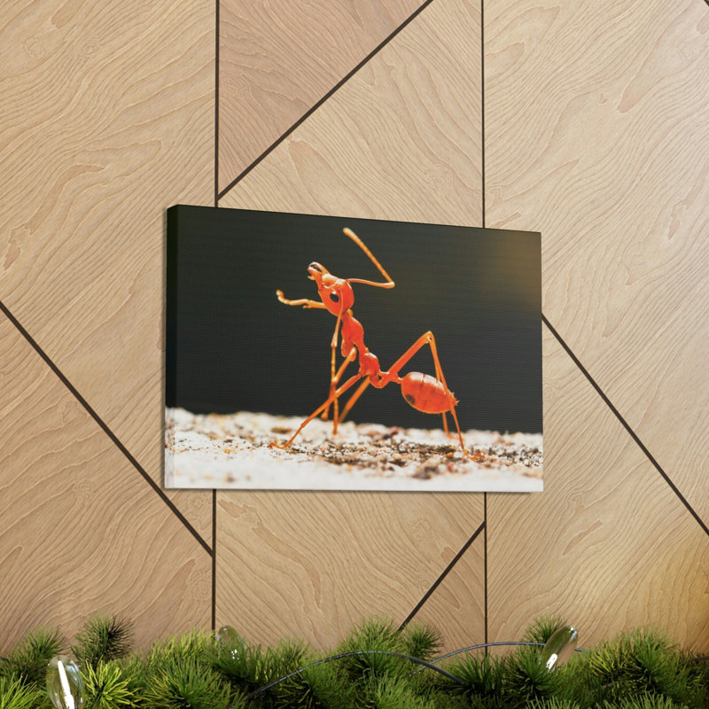 Ant Walk Real Ant Wall Art, 12" H x 18" W