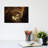 Think Different .... by Antje Wenner-Braun - Wrapped Canvas Print-1448555936