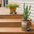 Talavera Handmade Ceramic Pot Planter