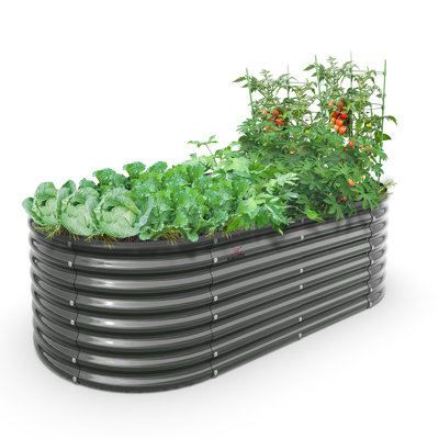 Gray Metal Oval Raised Garden Bed Planter Box For Planting Vegetables Flowers Herb (72 In. L X 36 In. W X 24 In. H)