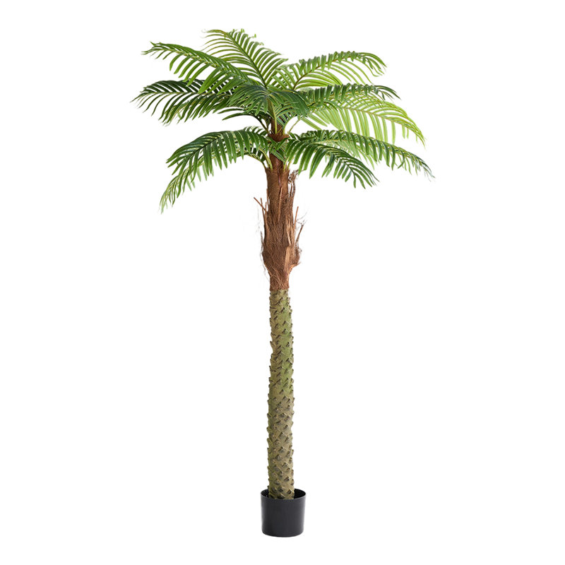 Faux Bonsai Tree in Pot, 200cm H x 107cm W x 107cm D