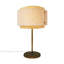 Fabric Desk Lamp