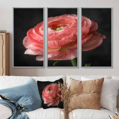 Ensemble de décoration murale monochrome Ranunculus Frozen Beauty II - Renoncule
