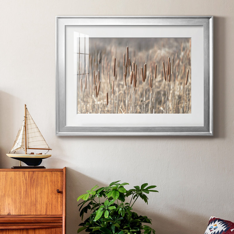 Summer Tails - Photographie avec cadre photo, H 26,5 po x l 36,5 po x P 1,5 po, Papier avec cadre argenté