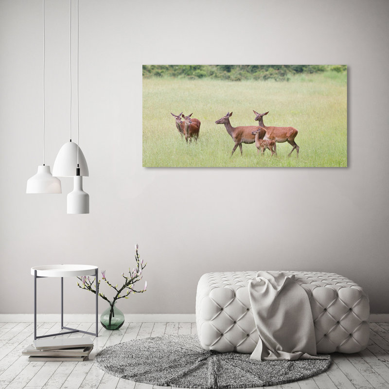 Roe With Young - Wrapped Canvas Print