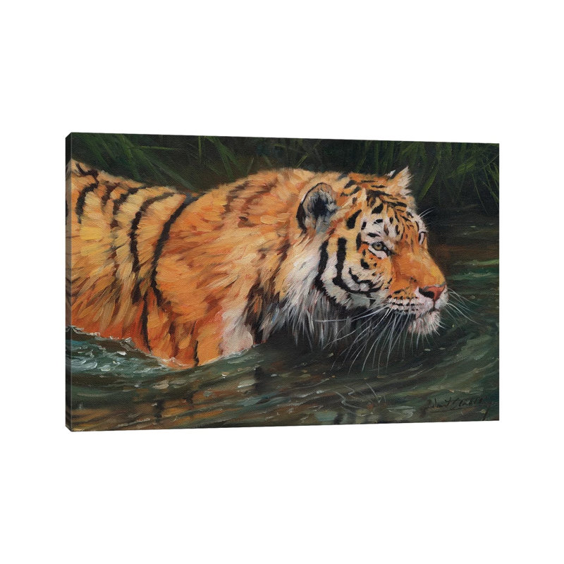 Amur Tiger River by David Stribbling - Gallery-Wrapped Canvas Giclée on Canvas, 66.04 cm H x 45.72 cm W x 3.175 cm D