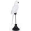 Hypatos Animals Figurines & Sculptures-219387983-219387982