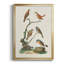 «Antique Birds In Nature IV», reproduction encadrée de qualité supérieure - prête à être accrochée-88261755-88261760