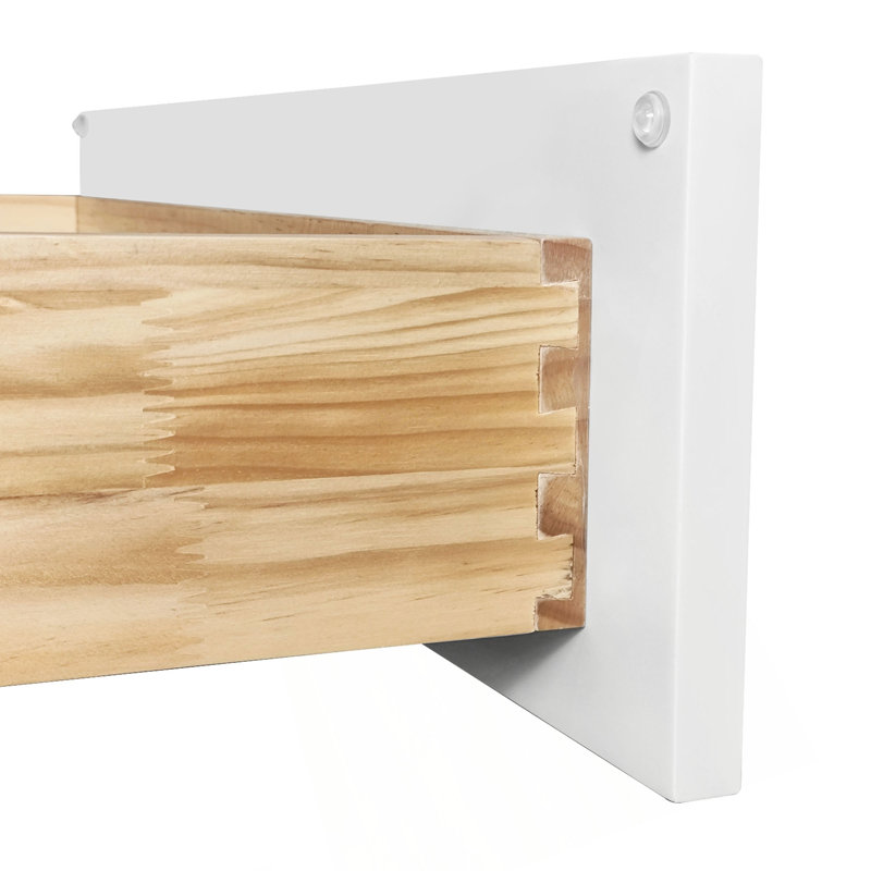 Armoire de base Shaker en bois massif à une porte, pour la cuisine, la buanderie et la salle de bain Tablettes réglables prêtes à assembler (l 12 po x H 34,5 po x P 24 po)