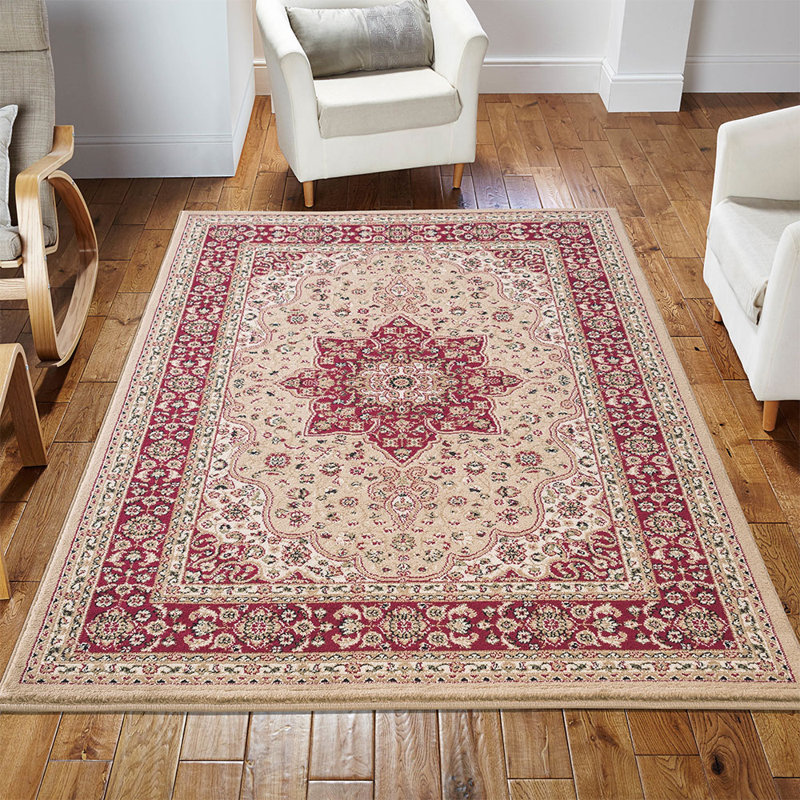 Mcphail Oriental Area Rug, Rectangle 280 x 380cm