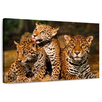 Brampt Jaguar Tribe