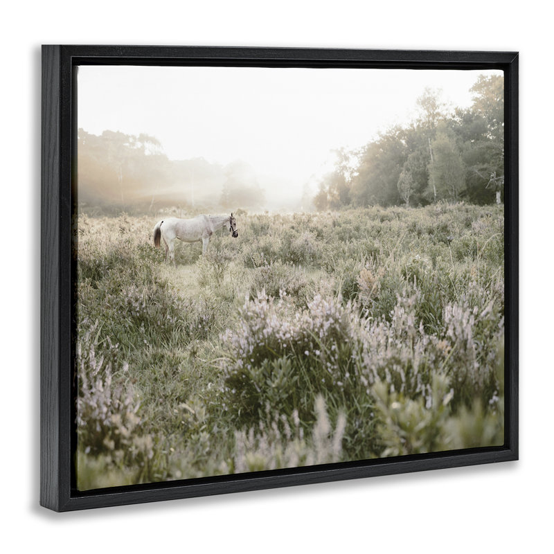 Cadre flottant Misty Sunset Horse, design par Leah Straatsma, H 17 po x l 21 po, Cadre flottant noir de jais