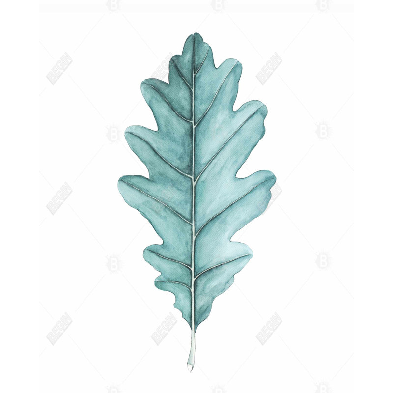 " Oak Leaf "