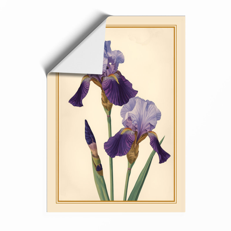 Purple Iris Study Botanical - Framed Print, A2 - 59.4 x 42.0 cm, Unframed