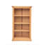 Mickel 120cm H Standard Bookcase-260733856-260733871