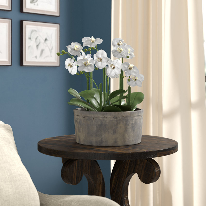Arrangement floral orchidée phalaenopsis dans un pot d’argile