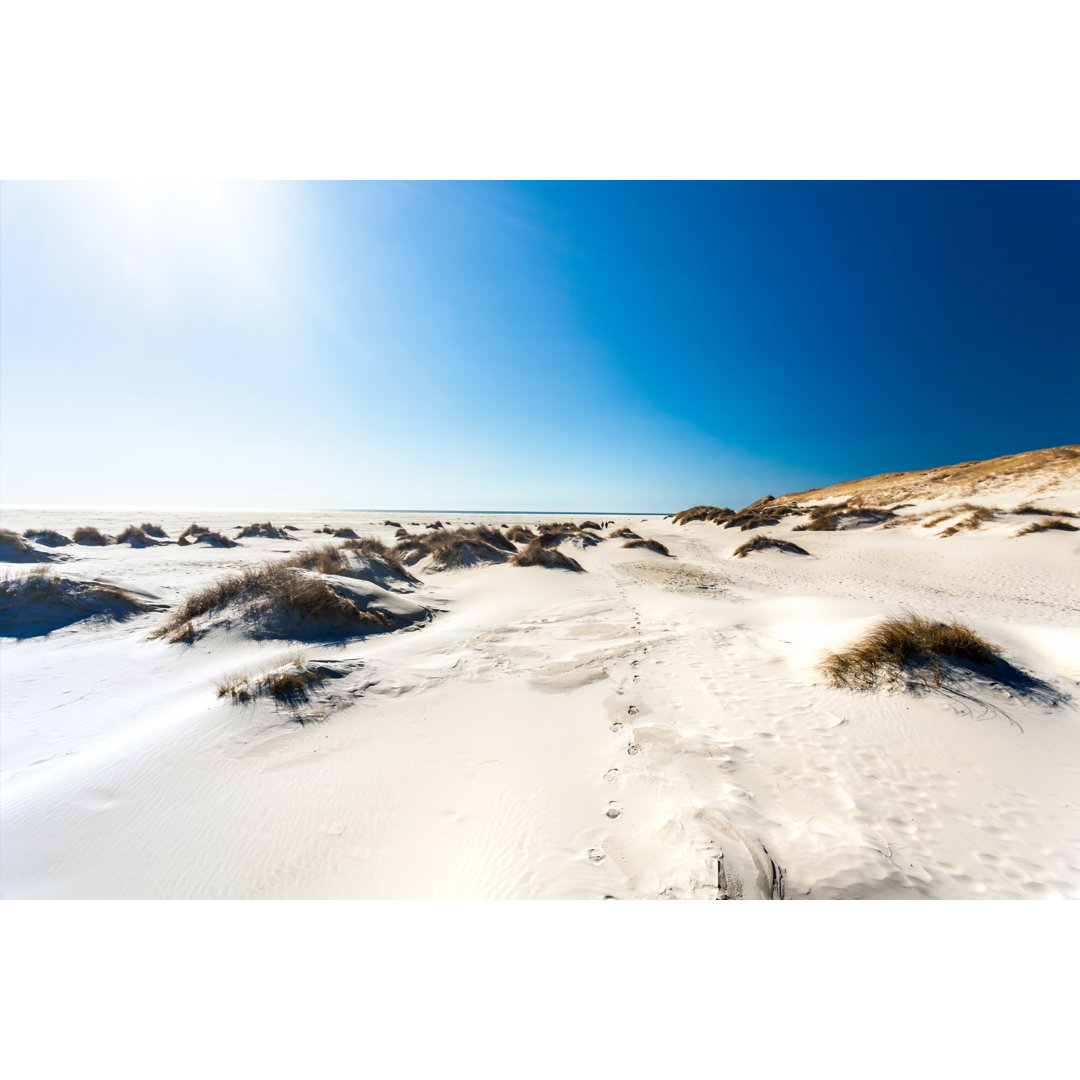 Dünenlandschaft mit Sonnenlicht von Querbeet - Druck