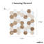 Channing 2 in. Hexagon Honeycomb Mosaic Tile-50210695