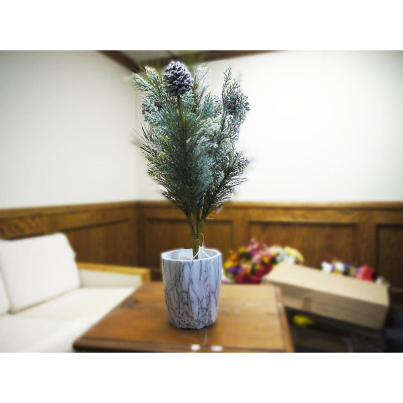 Vaporisateurs de pinecone winterfrost