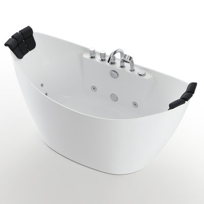 67'' x 28.7'' Freestanding Whirlpool Plastic / Acrylic Bathtub with Faucet