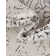 Alresford Oriental Indoor Rug