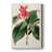 FloraOfTheTropicsI -Custom Wrapped Gallery Cavas