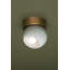 ODIN Flush Mount-639898943