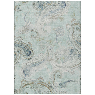 Machine Washable Indoor/Outdoor Chantille ACN2747 Paisley Rug