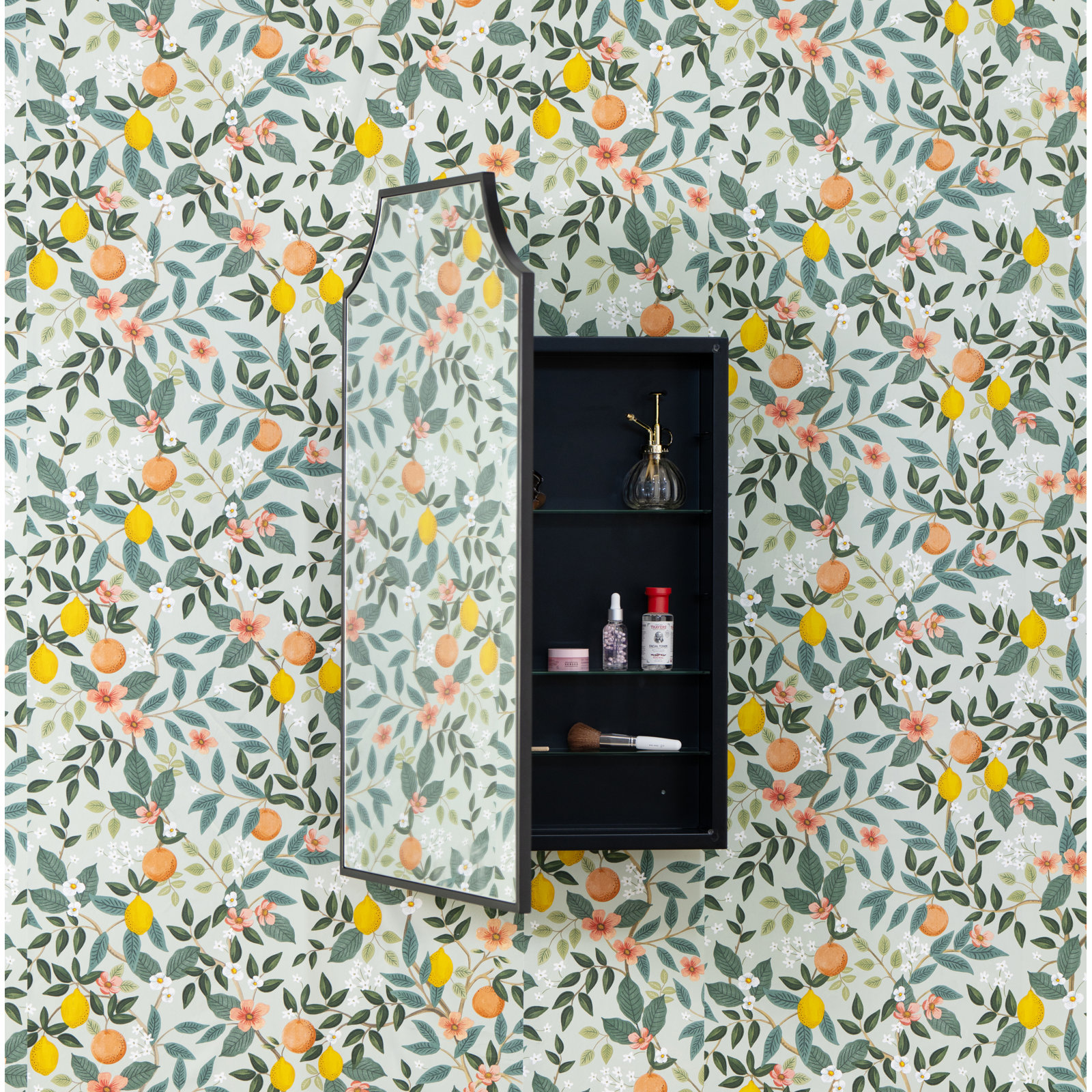 Simone Medicine Cabinet, Recess and Surface Mount,  Black