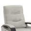Britnee Genuine Leather Swivel Power Recliner-156845056