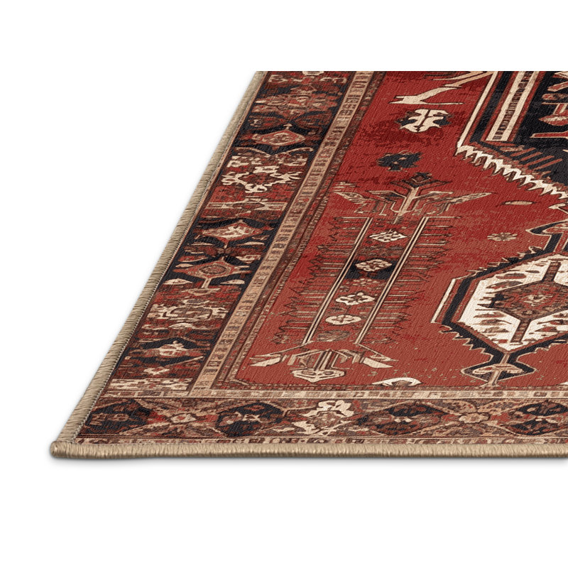 Tapis brun lavable à la machine, Rectangle 5 pi x 7 pi