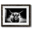 Reproduction photographique Highland C Best-1851836247-1851836241