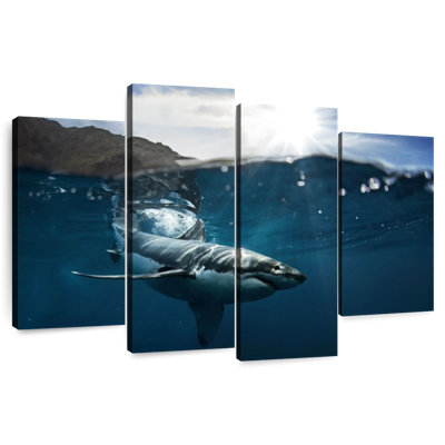 Brampt Shark Sunshine