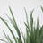 50'' Faux Lemon Grass Grass