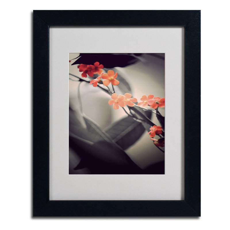 « doux gray 1 » par philippe sainte-laudy,, reproduction de photo encadrée, H 14 po x l 11 po, Noir