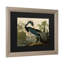 «Johniana Audubon» par John James Audubon-35748146-35748147