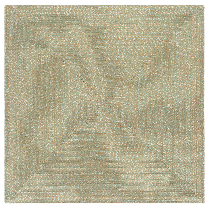 Braided 260 Hand Woven Performance Machine Washable No Pattern Rug, Square 5'