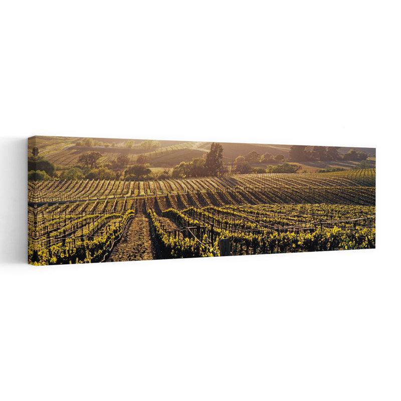 Vue aérienne de lignes dans un vignoble, vallée de Careros, Californie, États-Unis, H 20 po x l 60 po