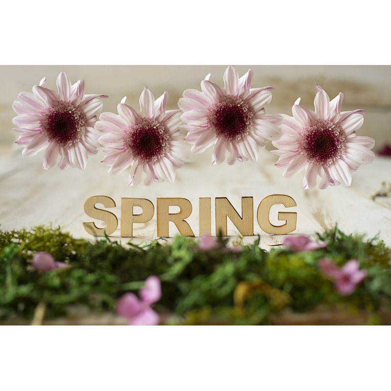 Flowers by Mireia B L - Wrapped Canvas Print, 81cm H x 122cm W