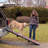 Travel Lite Collapsible Ramp