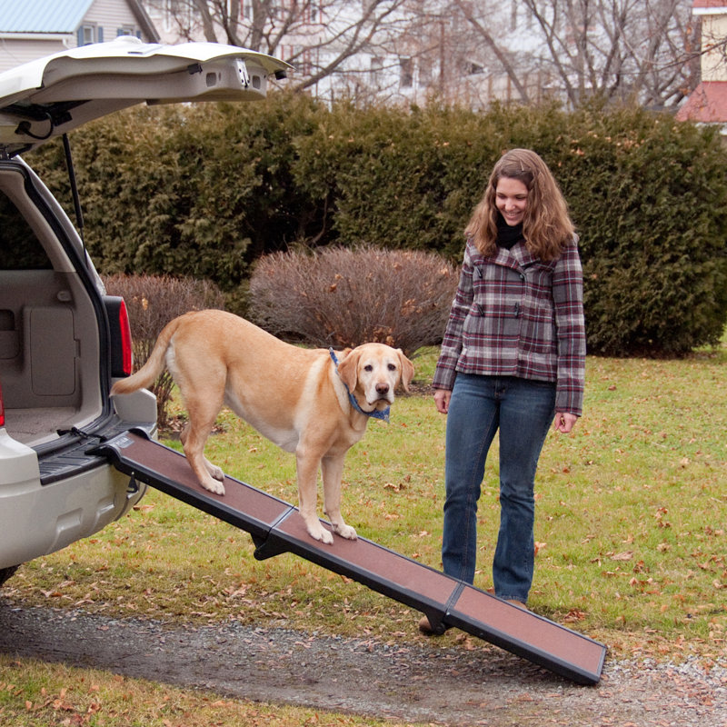 Brown and Black Tri-Fold Skid-Resistant Pet Ramp