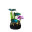 Fontaine de bureau lotus vert lézard
