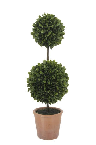 24" Artificial Boxwood Plant in Topiary Pot