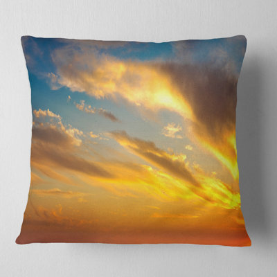 Throw Pillow
