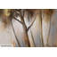 Hand -painted acrylic painting Hello Autumn