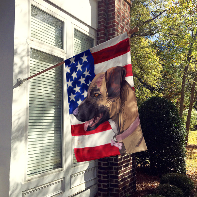 Polyester à 2 côtés 28 x 40 po drapeau maison, Treeing Tennessee Brindle
