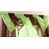 Lime/Chocolate is out of stock selected