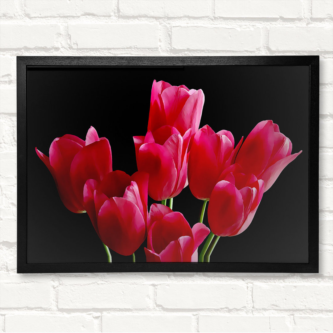 Blume Cerise Tulpen - Geschlossene Ecke Rahmen Kunstdrucke auf Holz